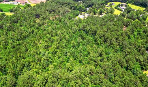 Photo #4 of TBD Little Bethel Rd., Green Sea, SC 14.0 acres