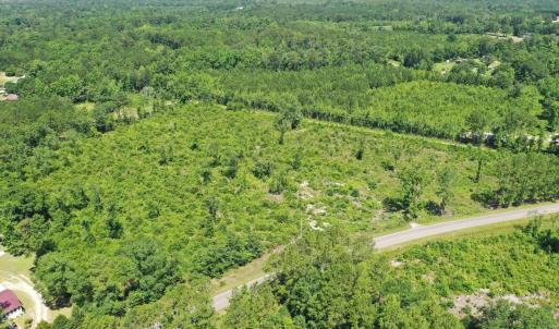 Photo #8 of TBD Pint Circle, Longs, SC 18.9 acres