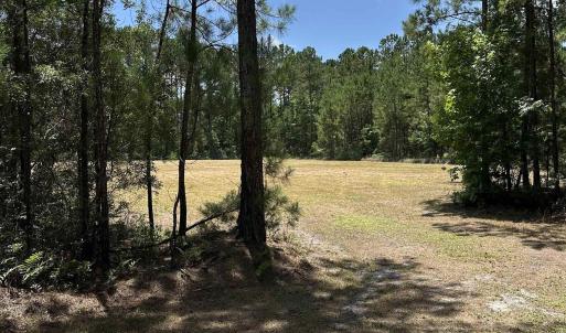 Photo #4 of 218 Samworth Loop, Georgetown, SC 5.1 acres