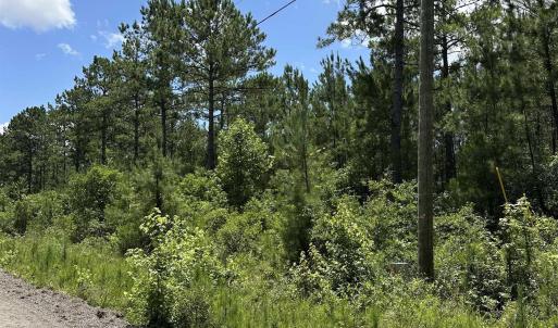 Photo #9 of 218 Samworth Loop, Georgetown, SC 5.1 acres