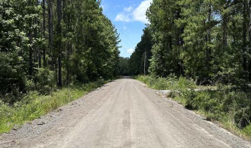 Photo #11 of 218 Samworth Loop, Georgetown, SC 5.1 acres