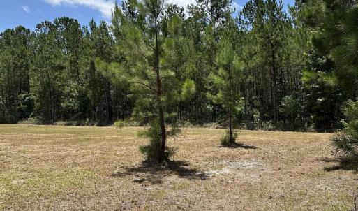 Photo #5 of 218 Samworth Loop, Georgetown, SC 5.1 acres