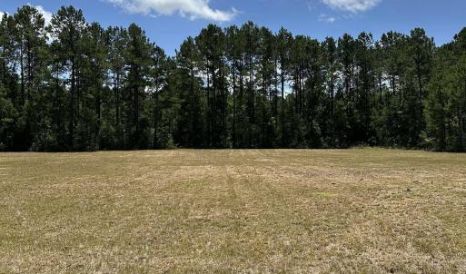 Photo #6 of 218 Samworth Loop, Georgetown, SC 5.1 acres