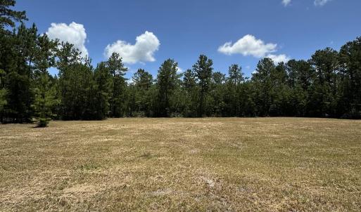 Photo #1 of 218 Samworth Loop, Georgetown, SC 5.1 acres