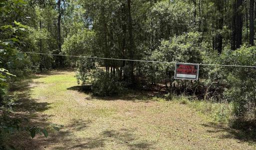 Photo #8 of 218 Samworth Loop, Georgetown, SC 5.1 acres