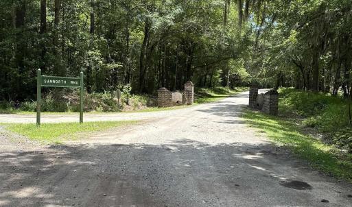 Photo #12 of 218 Samworth Loop, Georgetown, SC 5.1 acres