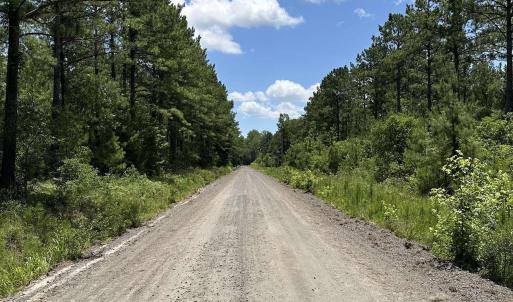 Photo #10 of 218 Samworth Loop, Georgetown, SC 5.1 acres