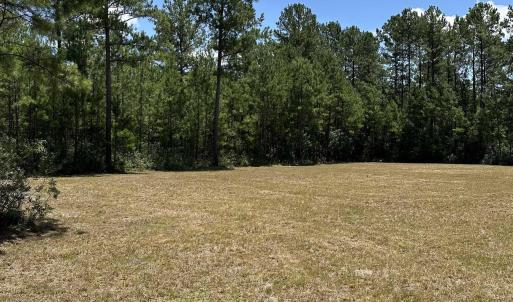 Photo #7 of 218 Samworth Loop, Georgetown, SC 5.1 acres