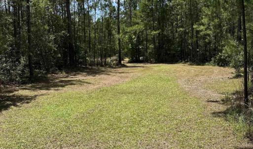 Photo #3 of 218 Samworth Loop, Georgetown, SC 5.1 acres