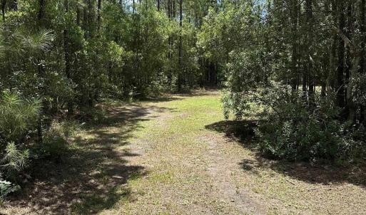 Photo #2 of 218 Samworth Loop, Georgetown, SC 5.1 acres