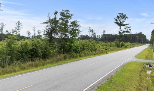 View of asphalt road featuring a forest view