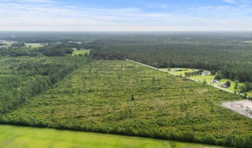 Drone / aerial view of a forest