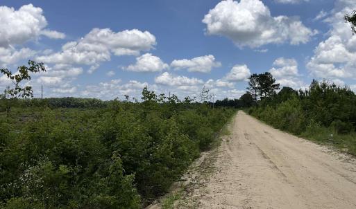 View of dirt / gravel road