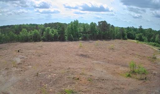 View of wooded area