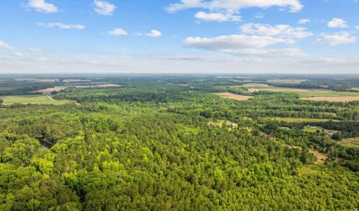 Aerial view of a forest