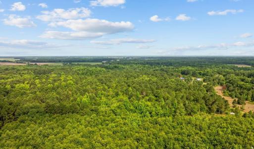 Bird's eye view of a heavily wooded area