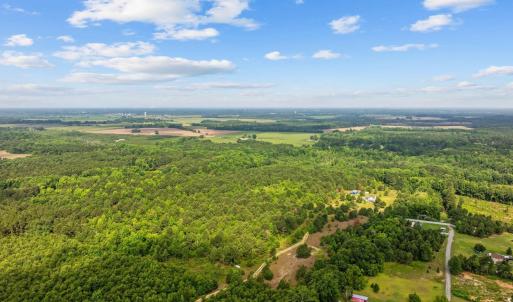 Bird's eye view of a forest