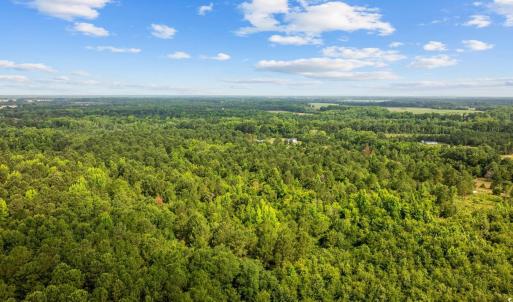 Drone / aerial view of a forest