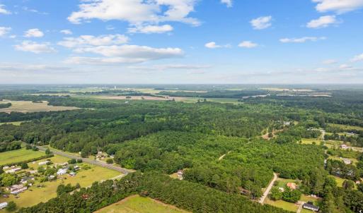 Aerial view of a forest