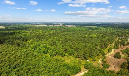 Bird's eye view of a heavily wooded area