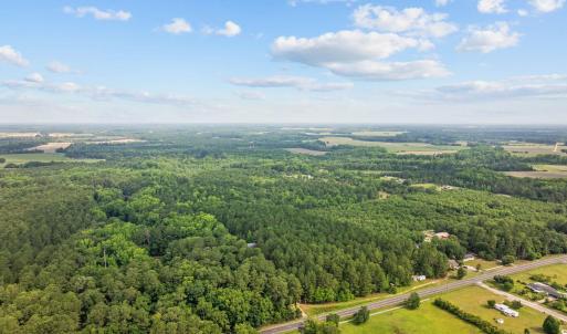 Bird's eye view of a forest