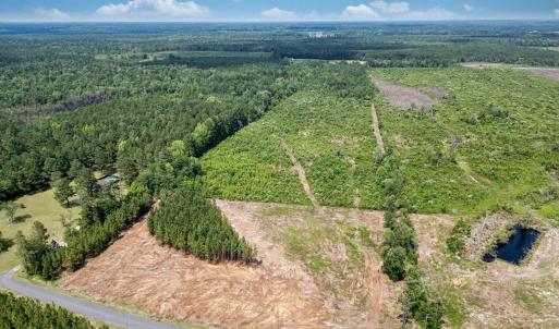 Bird's eye view of a heavily wooded area