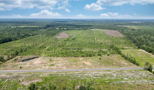 Bird's eye view of a forest