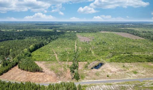 Bird's eye view of a forest