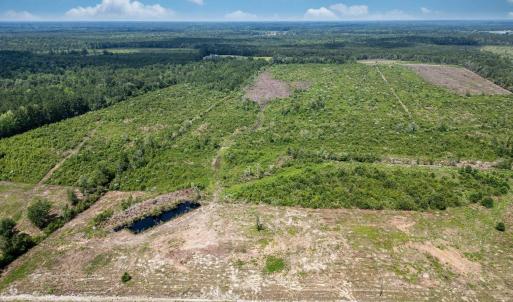 Aerial view of a heavily wooded area