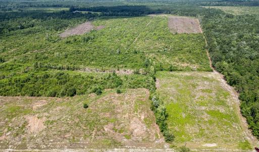 Bird's eye view of a heavily wooded area