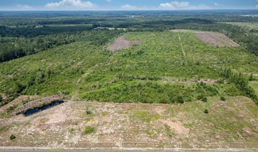 Drone / aerial view of a forest