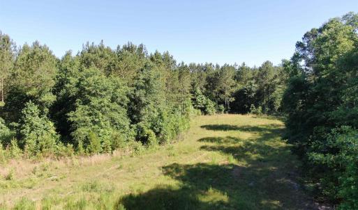 View of wooded area