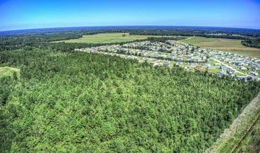 Drone / aerial view of a forest