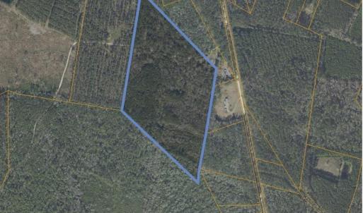 Aerial overview of property's location
