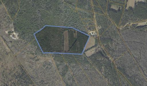 Aerial view of property's location