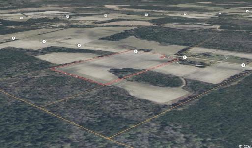 Photo #7 of Highway 9, Nichols, SC 21.5 acres
