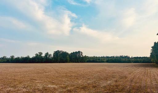 Photo #3 of Highway 9, Nichols, SC 21.5 acres