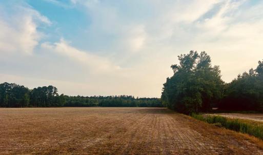 Photo #2 of Highway 9, Nichols, SC 21.5 acres