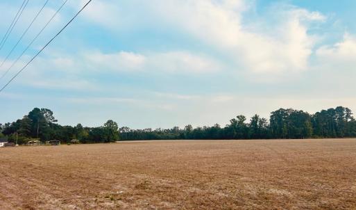 Photo #1 of Highway 9, Nichols, SC 21.5 acres