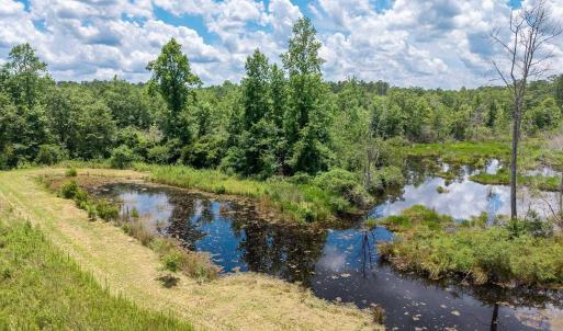 Water view featuring a forest