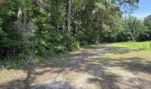 Photo #6 of TBD Highway 668, Conway, SC 15.0 acres