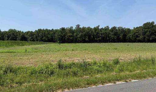 Photo #1 of TBD Highway 668, Conway, SC 15.0 acres