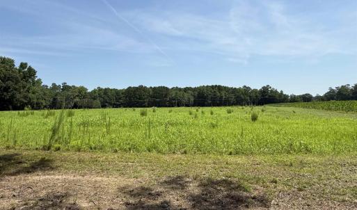 Photo #4 of TBD Highway 668, Conway, SC 15.0 acres