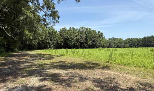 Photo #3 of TBD Highway 668, Conway, SC 15.0 acres