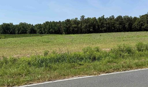 Photo #2 of TBD Highway 668, Conway, SC 15.0 acres