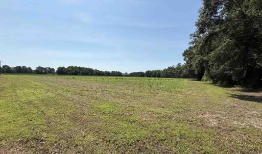 Photo #7 of TBD Highway 668, Conway, SC 15.0 acres