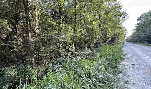 Photo #6 of TBD Wolf Pit Bay Rd., Nichols, SC 6.9 acres