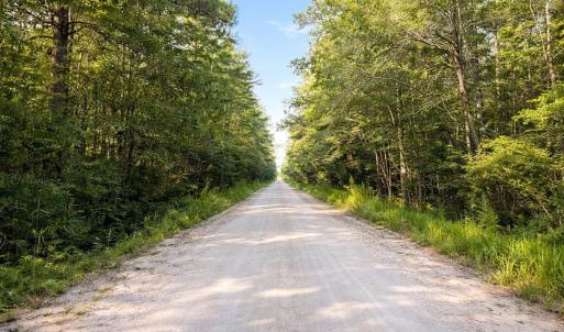 Photo #1 of TBD Wolf Pit Bay Rd., Nichols, SC 6.9 acres