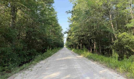 Photo #7 of TBD Wolf Pit Bay Rd., Nichols, SC 6.9 acres