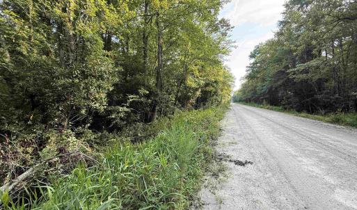 Photo #3 of TBD Wolf Pit Bay Rd., Nichols, SC 6.9 acres